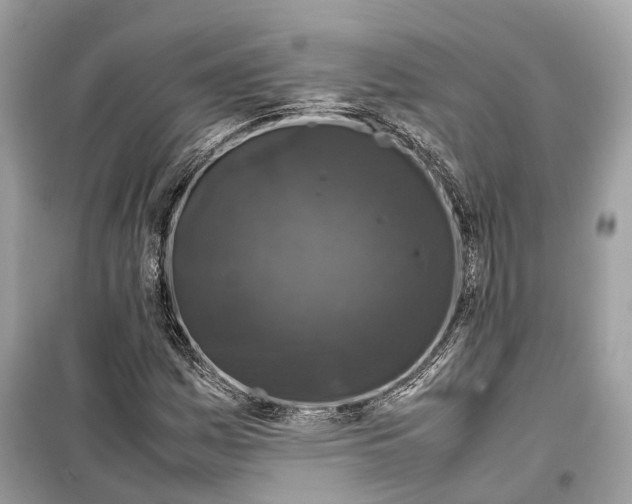 X0000099311161200805231357