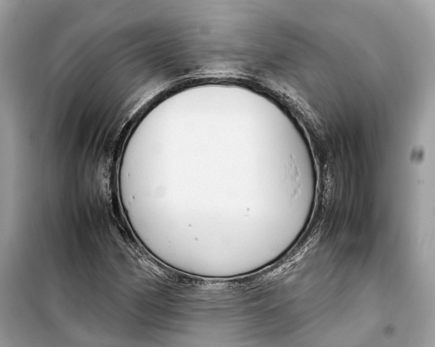 X0000099311162200805231357