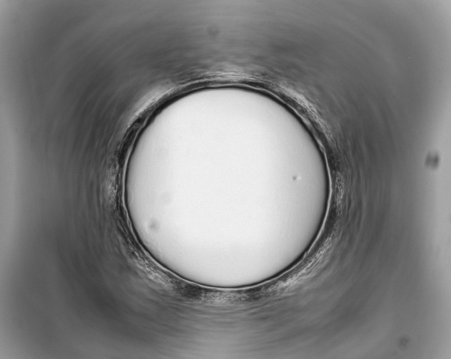 X0000099311163200805231357