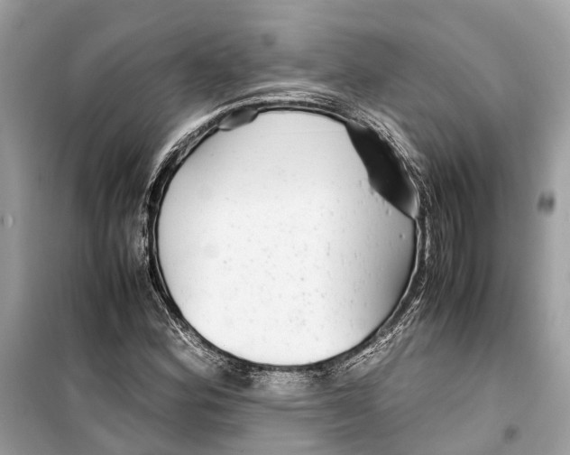 X0000099311164200805231357