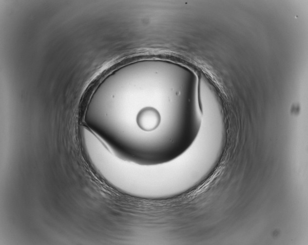 X0000099311165200805231357