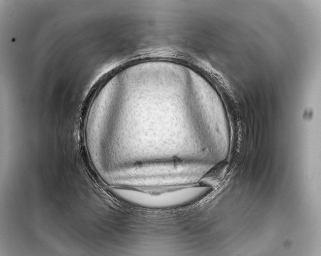 X0000099311166200805231357