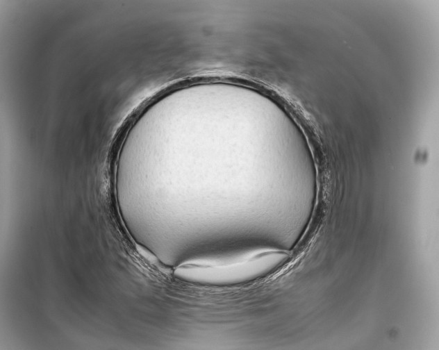 X0000099311167200805231357