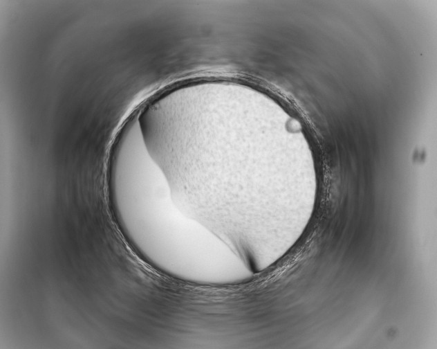 X0000099311168200805231357