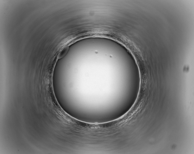 X0000099311169200805231357