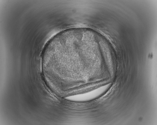 X0000099311171200805231357