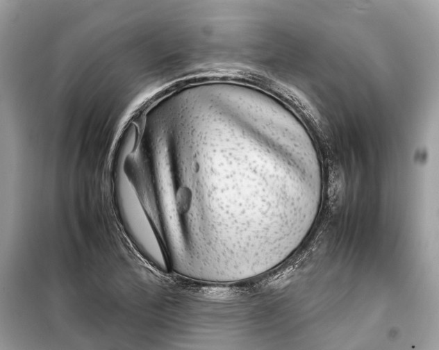 X0000099311172200805231357