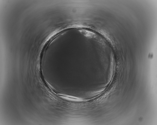 X0000099311173200805231357