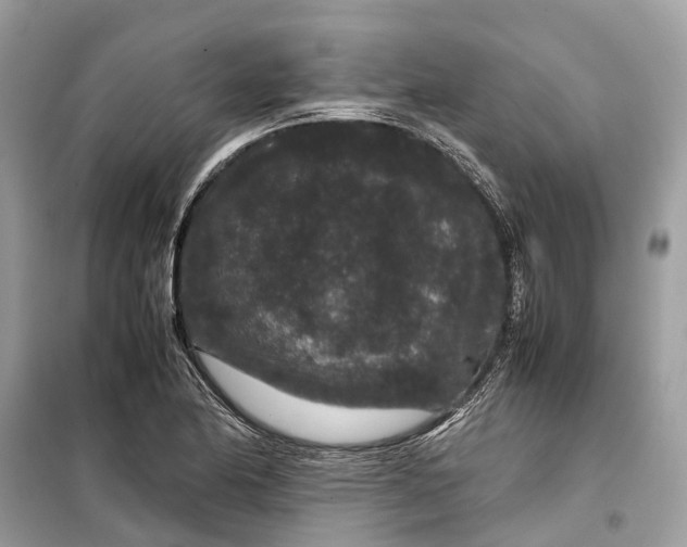 X0000099311174200805231357