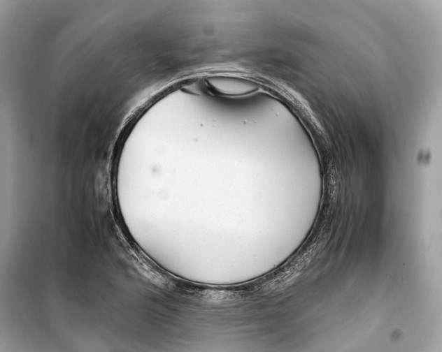 X0000099311176200805231357