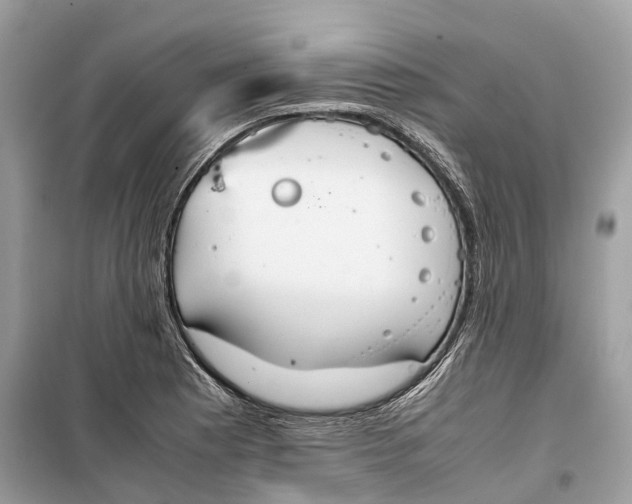 X0000099311177200805231357