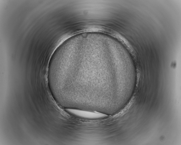 X0000099311178200805231357