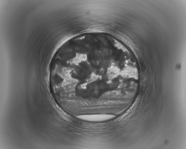 X0000099311179200805231357