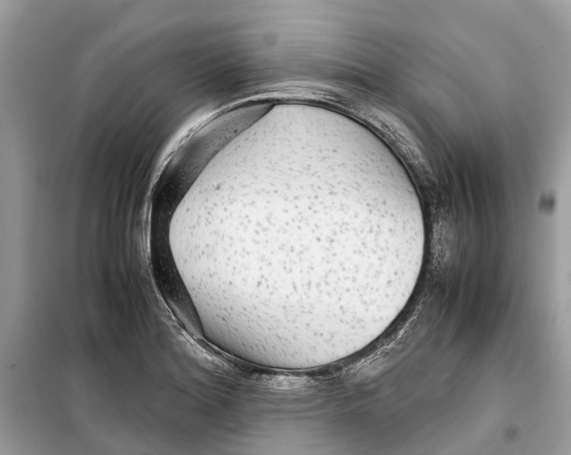 X0000099311180200805231357