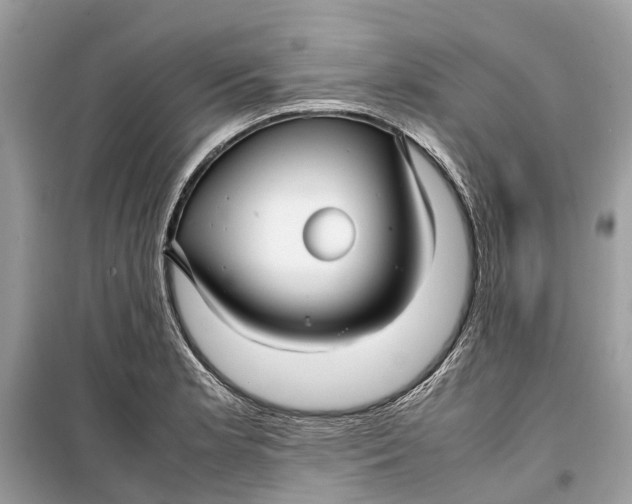 X0000099311181200805231357