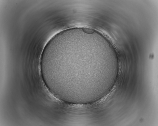 X0000099311182200805231357