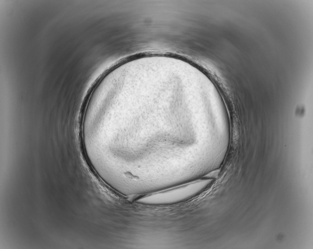 X0000099311183200805231356