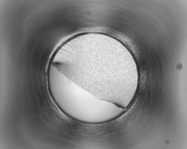 X0000099311184200805231356