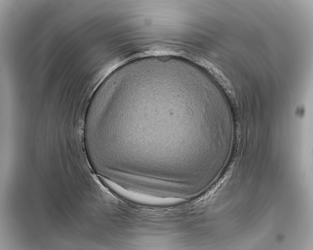 X0000099311185200805231356