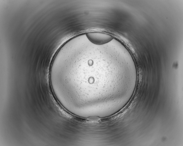 X0000099311186200805231356