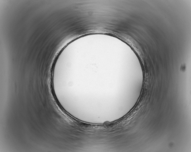 X0000099311187200805231356