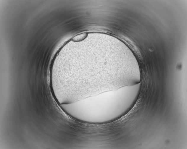 X0000099311188200805231356