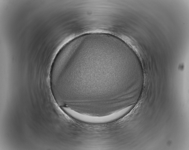 X0000099311189200805231356