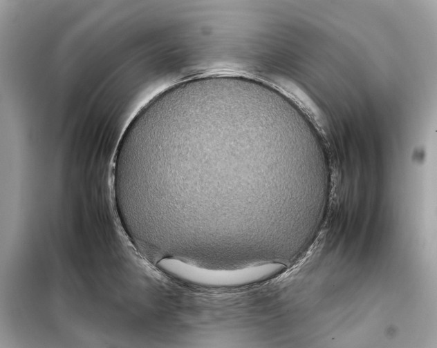 X0000099311190200805231356