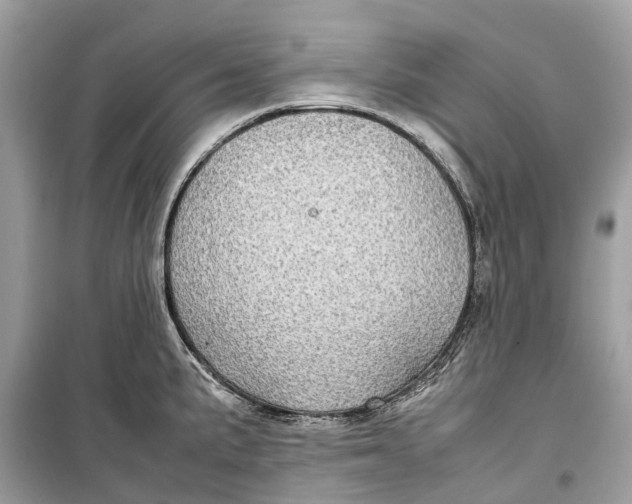 X0000099311191200805231356