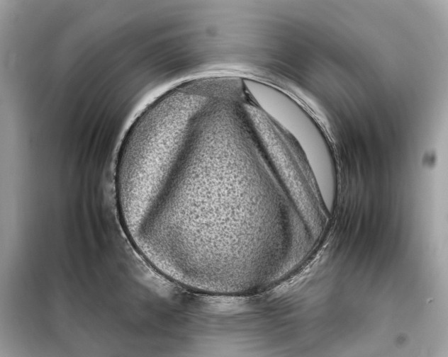 X0000099311192200805231356