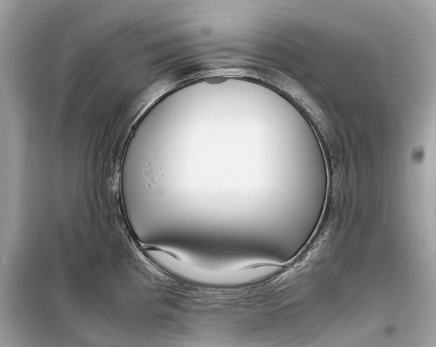 X0000099311193200805231356