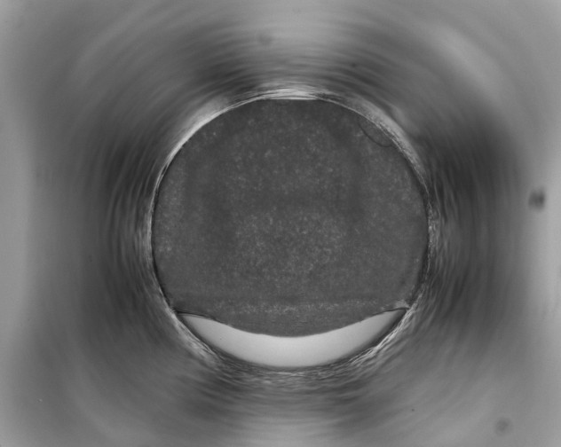 X0000099311194200805231356