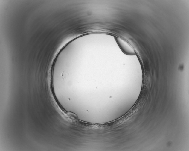 X0000099311195200805231356