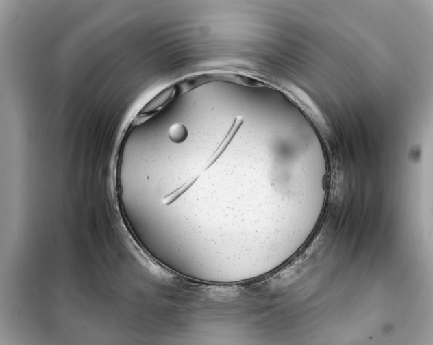 X0000099311196200805231356