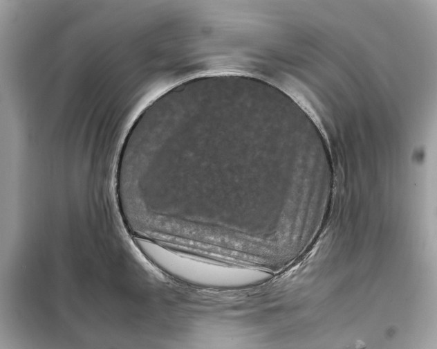 X0000099311197200805231356