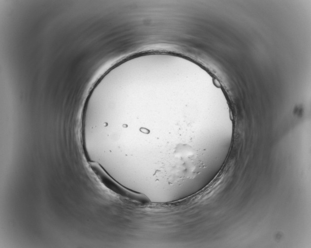 X0000099311199200805231356