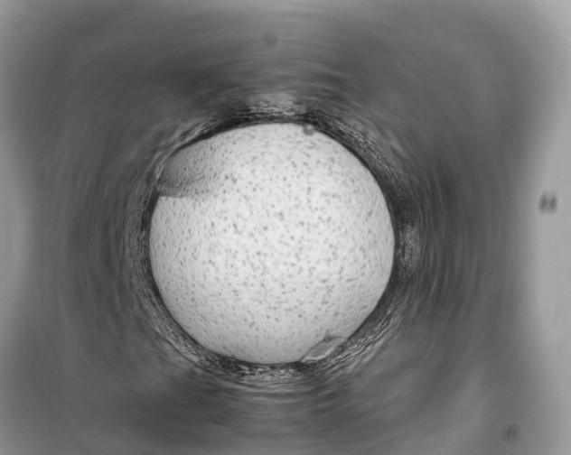 X0000099311201200805231356