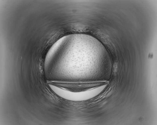 X0000099311202200805231356