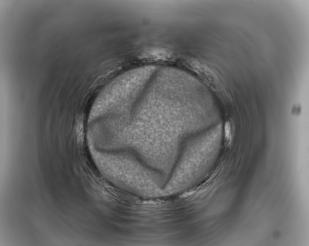 X0000099311203200805231356