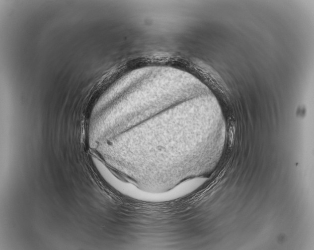 X0000099311204200805231356