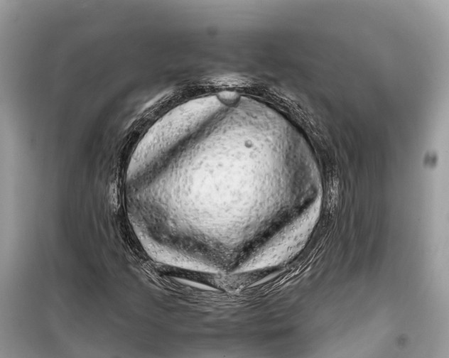 X0000099311205200805231356