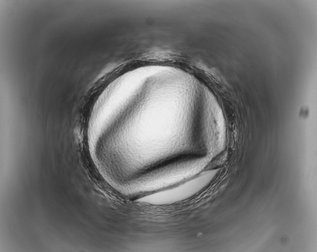 X0000099311206200805231356