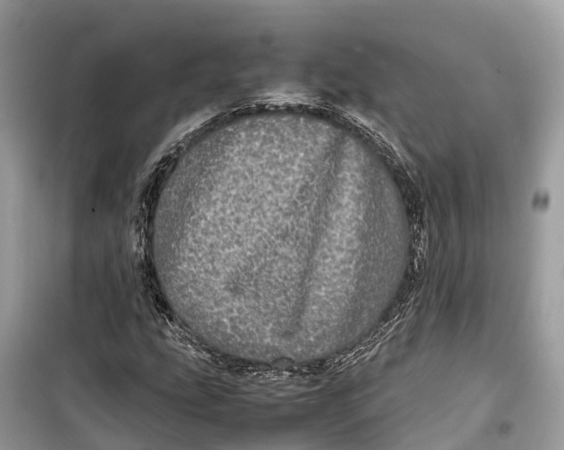 X0000099311207200805231356