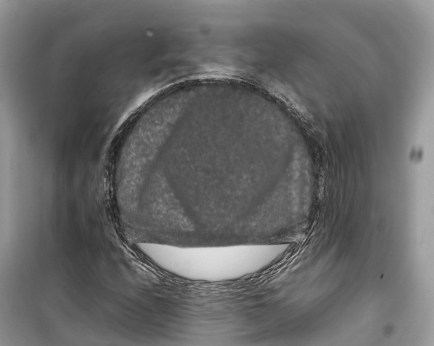 X0000099311208200805231356