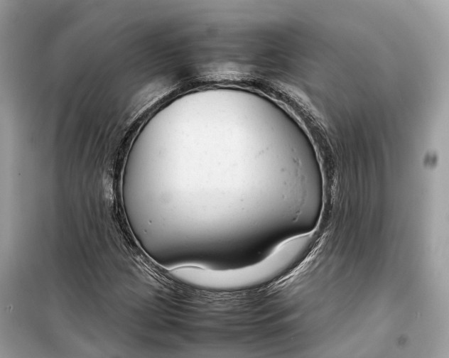 X0000099311209200805231356