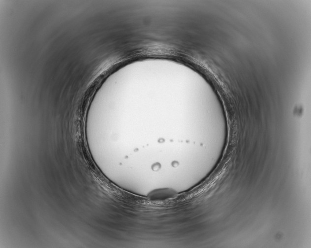 X0000099311211200805231356