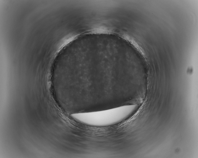 X0000099311213200805231356