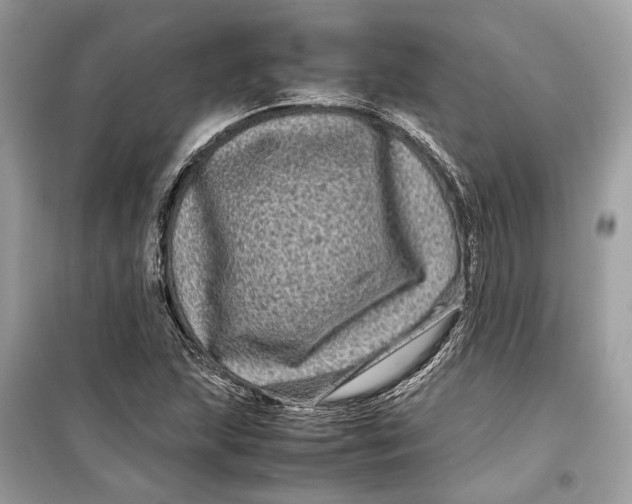 X0000099311215200805231356