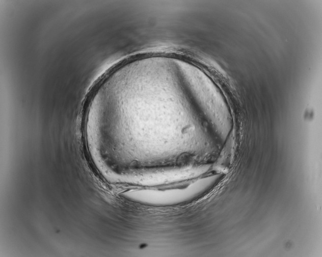 X0000099311216200805231356