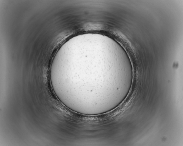 X0000099311217200805231356